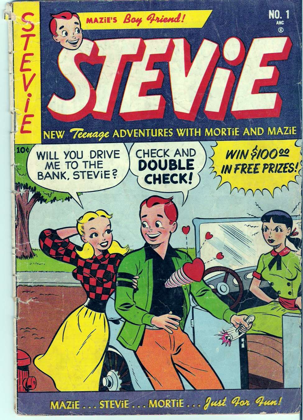 Book Cover For Stevie 1