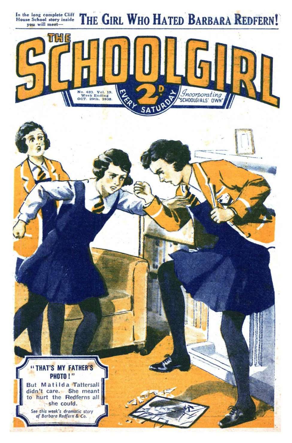 Book Cover For The Schoolgirl 483