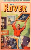 Cover For The Rover 1011