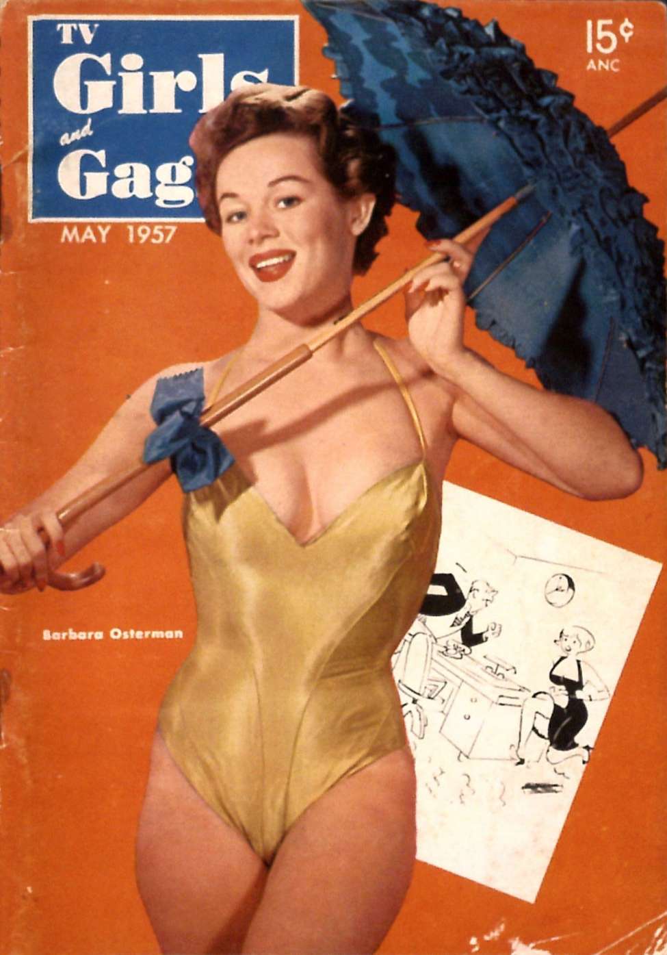 Book Cover For TV Girls and Gags v4 3