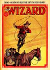 Cover For The Wizard 776