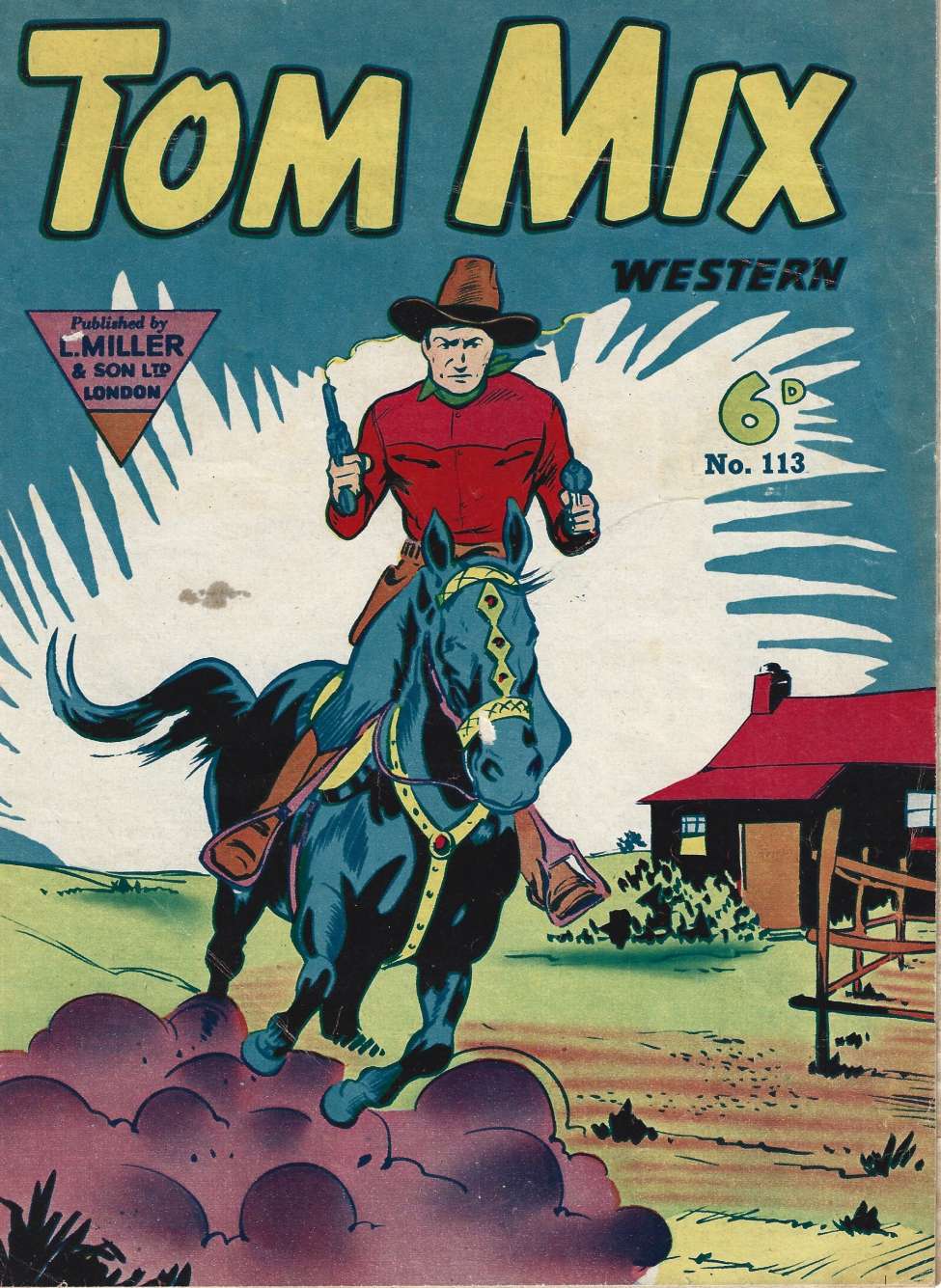 Book Cover For Tom Mix 113