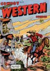 Cover For Cowboy Western 32