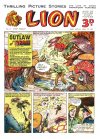 Cover For Lion 9