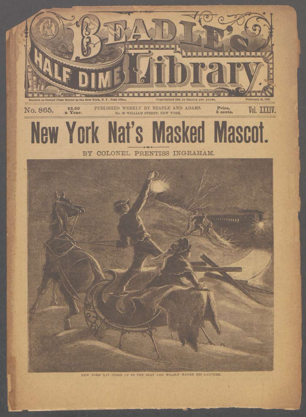 Book Cover For Beadle's Half Dime Library 865 - New York Nat's Masked Mascot