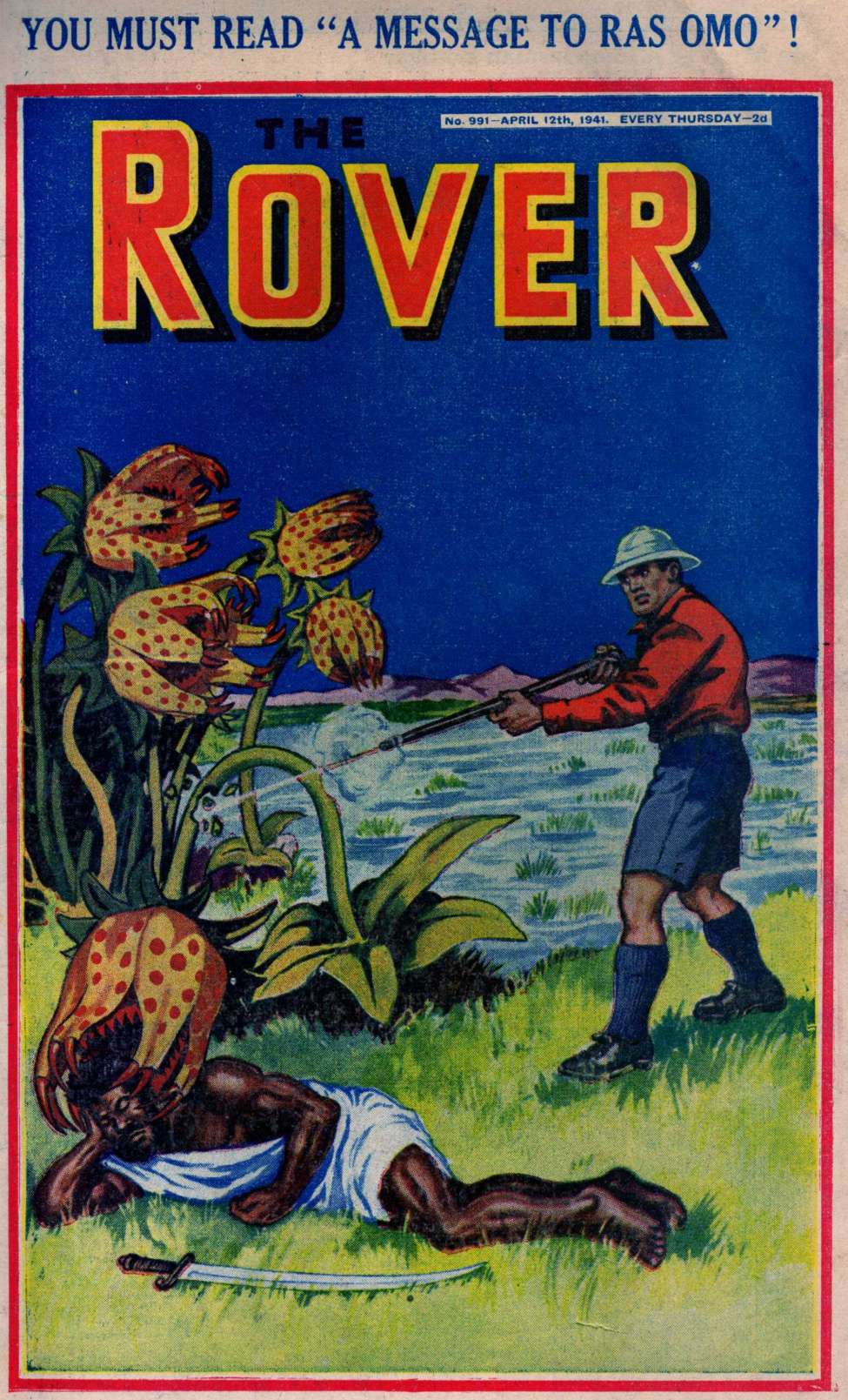Book Cover For The Rover 991