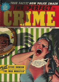 Large Thumbnail For The Perfect Crime 23