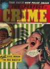 Cover For The Perfect Crime 23