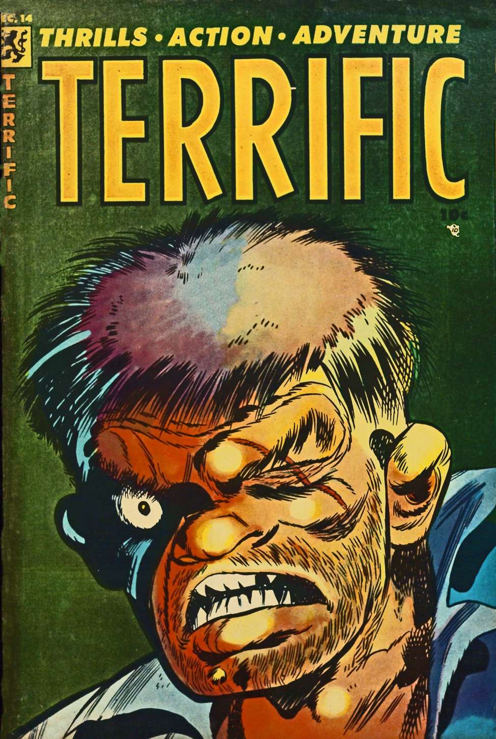 Book Cover For Terrific 14
