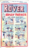 Cover For The Rover 1056