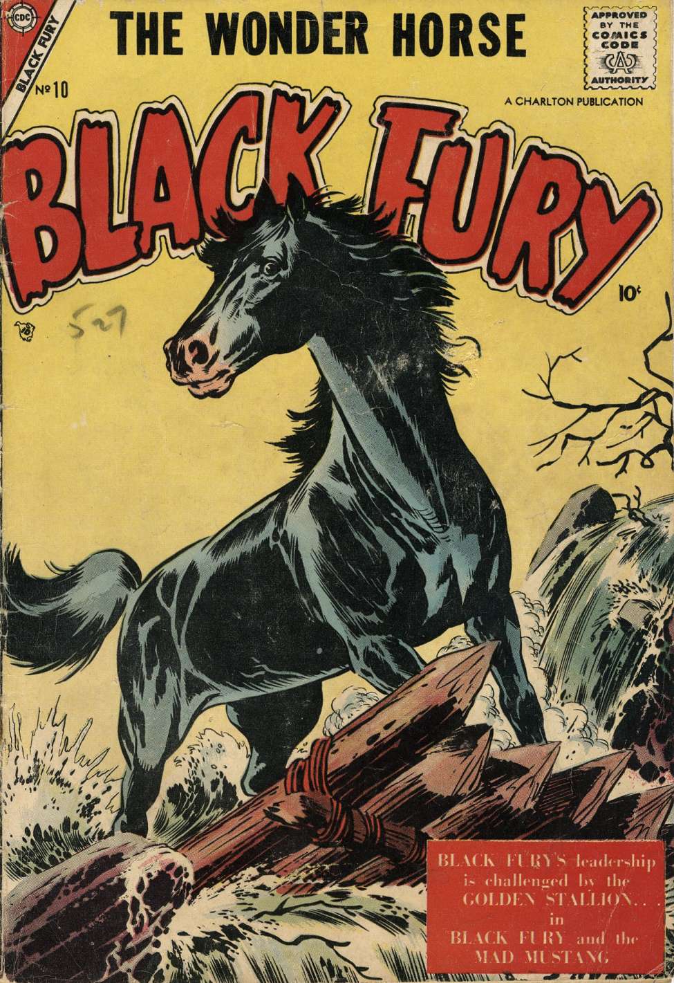 Book Cover For Black Fury 10