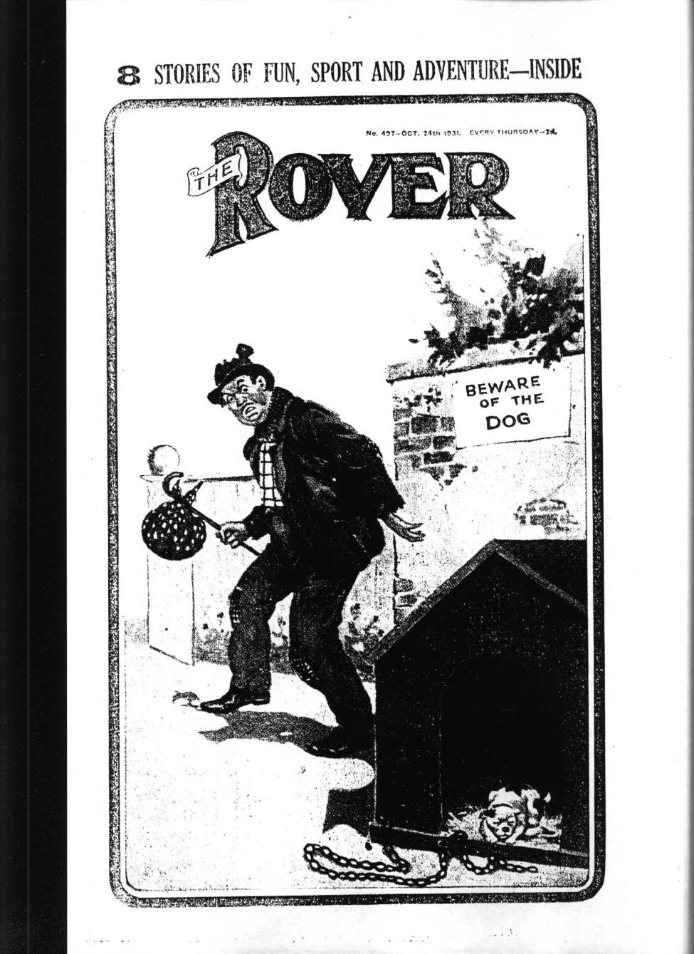 Book Cover For The Rover 497