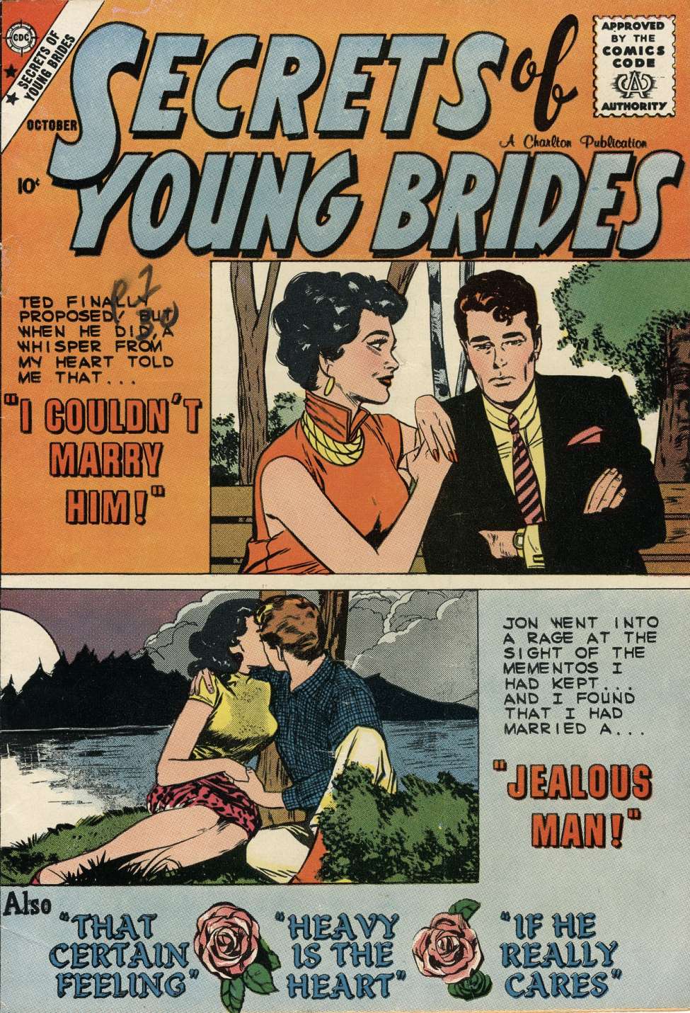 Book Cover For Secrets of Young Brides 16