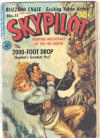 Cover For Skypilot 11