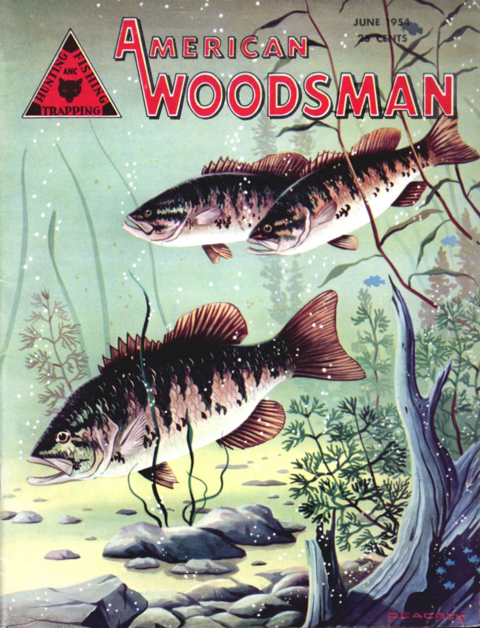 Book Cover For American Woodsman v3 11