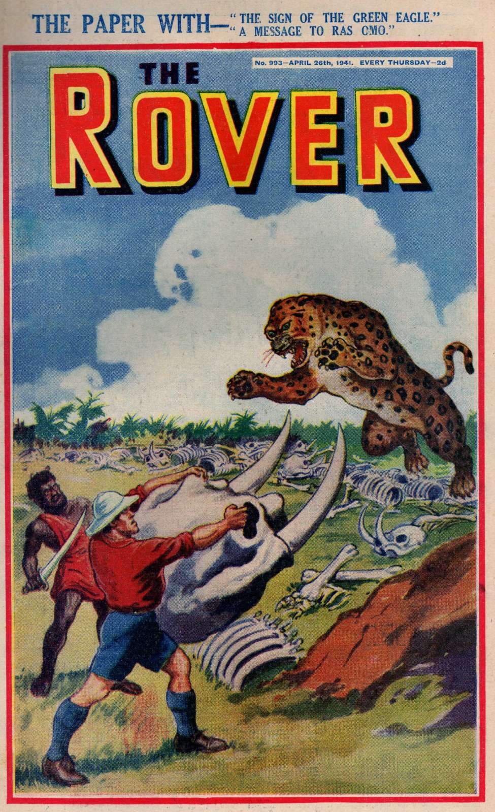 Book Cover For The Rover 993