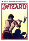 Cover For The Wizard 560