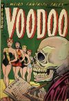 Cover For Voodoo 14