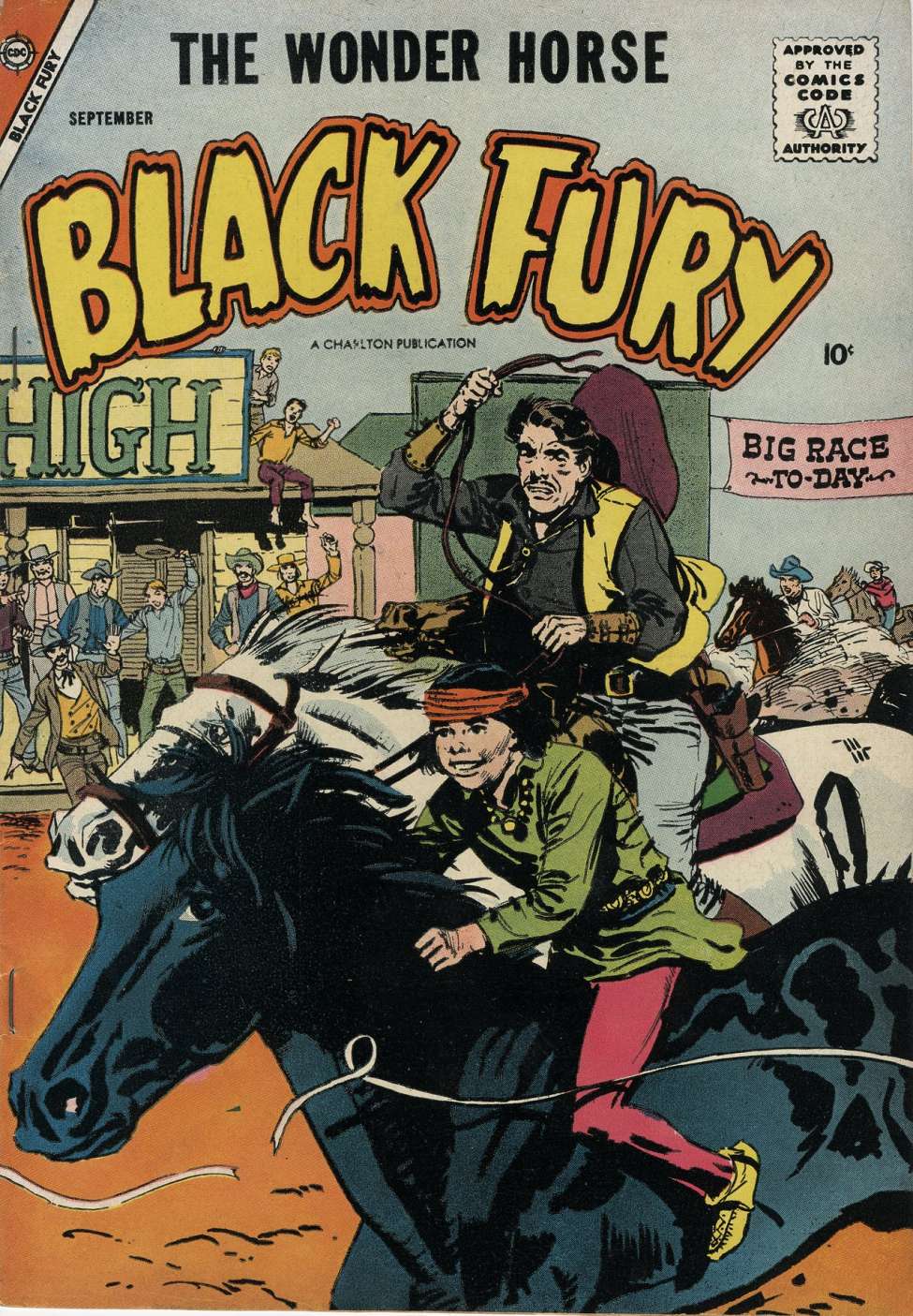 Comic Book Cover For Black Fury 15
