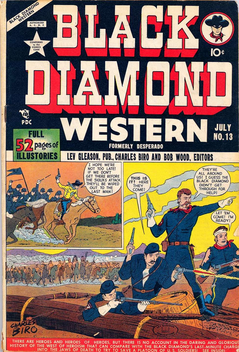 Book Cover For Black Diamond Western 13