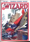 Cover For The Wizard 642