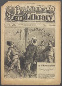 Large Thumbnail For Beadle's Half Dime Library 463 - Tamarac Tom, the Big Trapper Boy