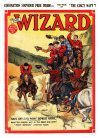 Cover For The Wizard 748