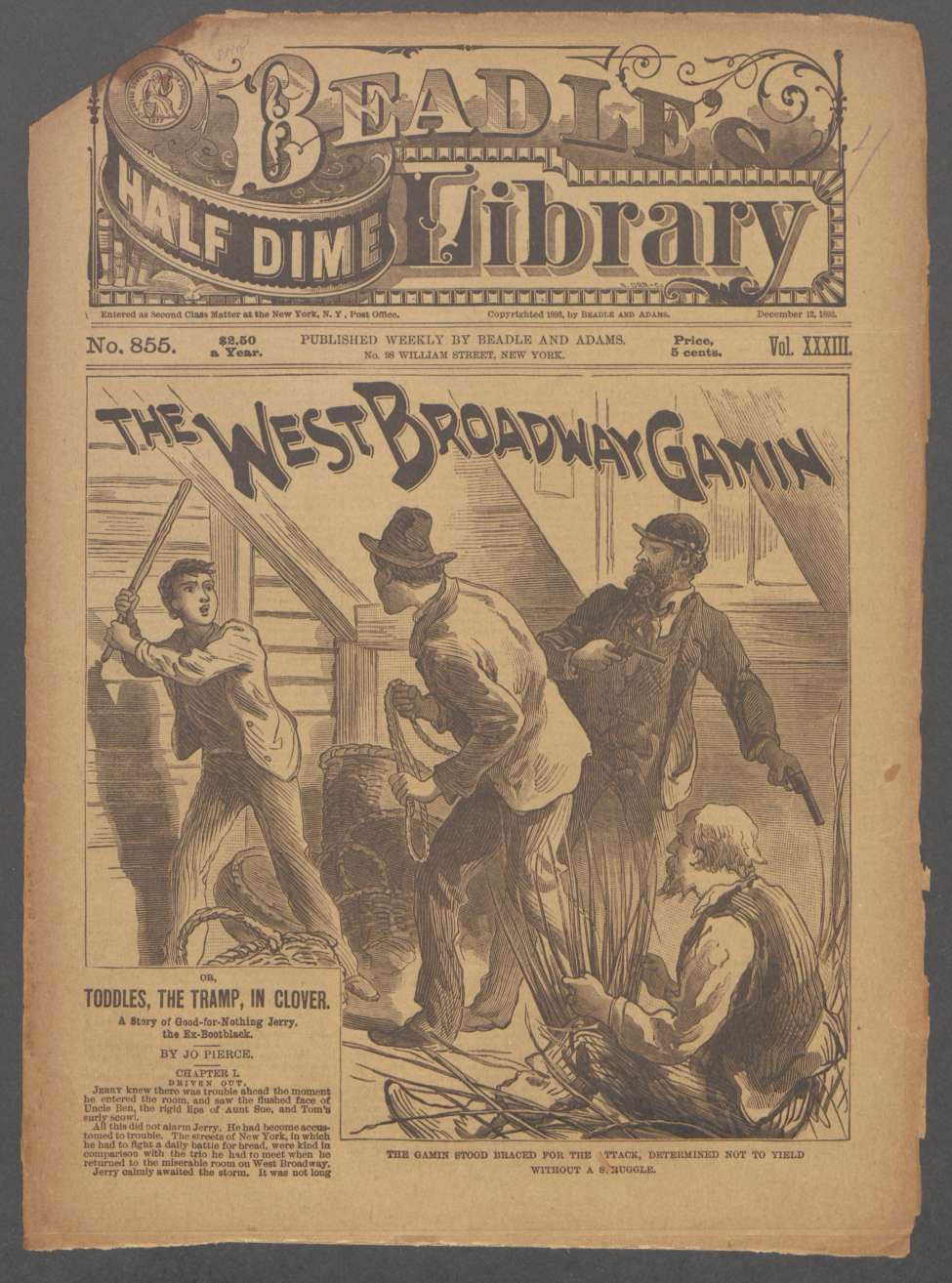 Book Cover For Beadle's Half Dime Library 855 - The West Broadway Gamin