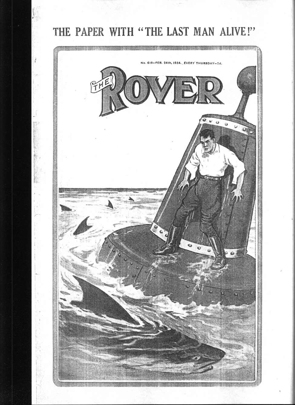 Book Cover For The Rover 619