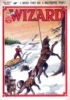 Cover For The Wizard 589