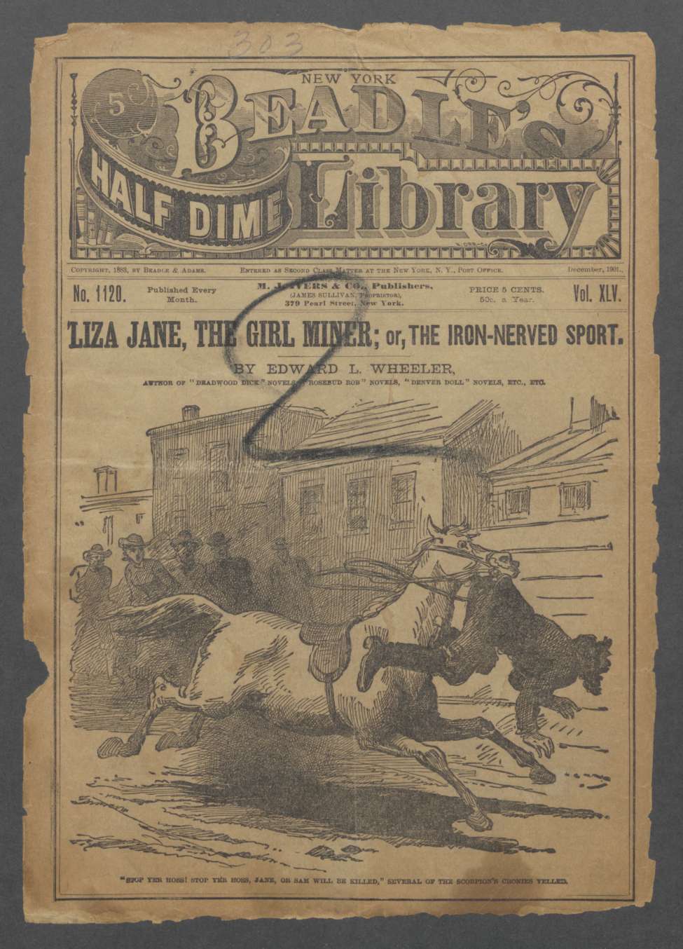Book Cover For Beadle's Half Dime Library 1120 - Liza Jane, the Girl Miner