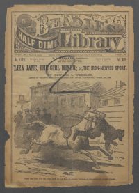 Large Thumbnail For Beadle's Half Dime Library 1120 - Liza Jane, the Girl Miner