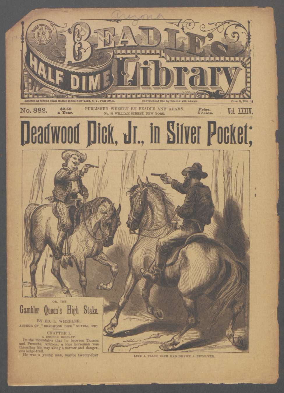 Book Cover For Beadle's Half Dime Library 882 - Deadwood Dick Jr. in Silver Pocket
