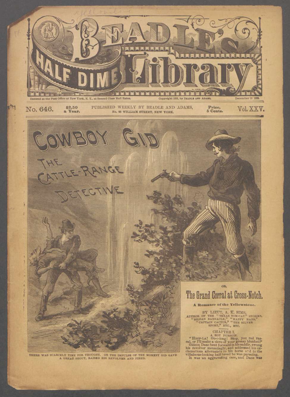 Book Cover For Beadle's Half Dime Library 646 - Cowboy Gid, the Cattle-Range Detective