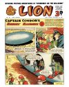 Cover For Lion 135