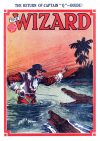 Cover For The Wizard 564