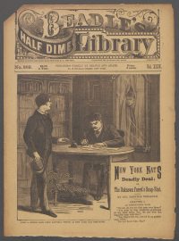 Large Thumbnail For Beadle's Half Dime Library 889 - New York Nat's Deadly Deal