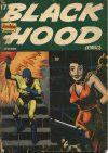 Cover For Black Hood Comics 17