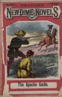 Large Thumbnail For Beadle's New Dime Novels 27 - The Apache Guide
