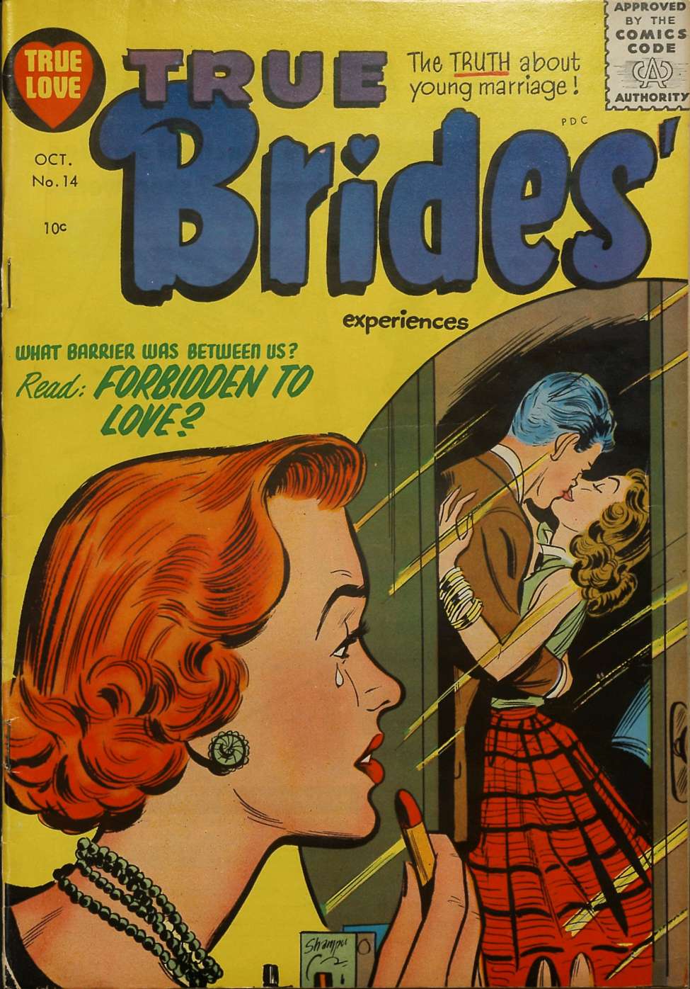 Comic Book Cover For True Brides' Experiences 14