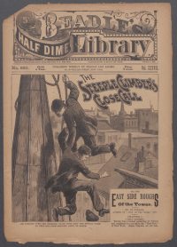 Large Thumbnail For Beadle's Half Dime Library 950 - The Steeple Climber's Close Call