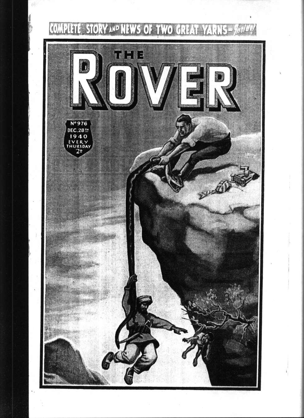 Book Cover For The Rover 976