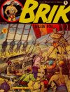 Cover For Brik 1