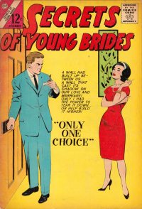 Large Thumbnail For Secrets of Young Brides 40