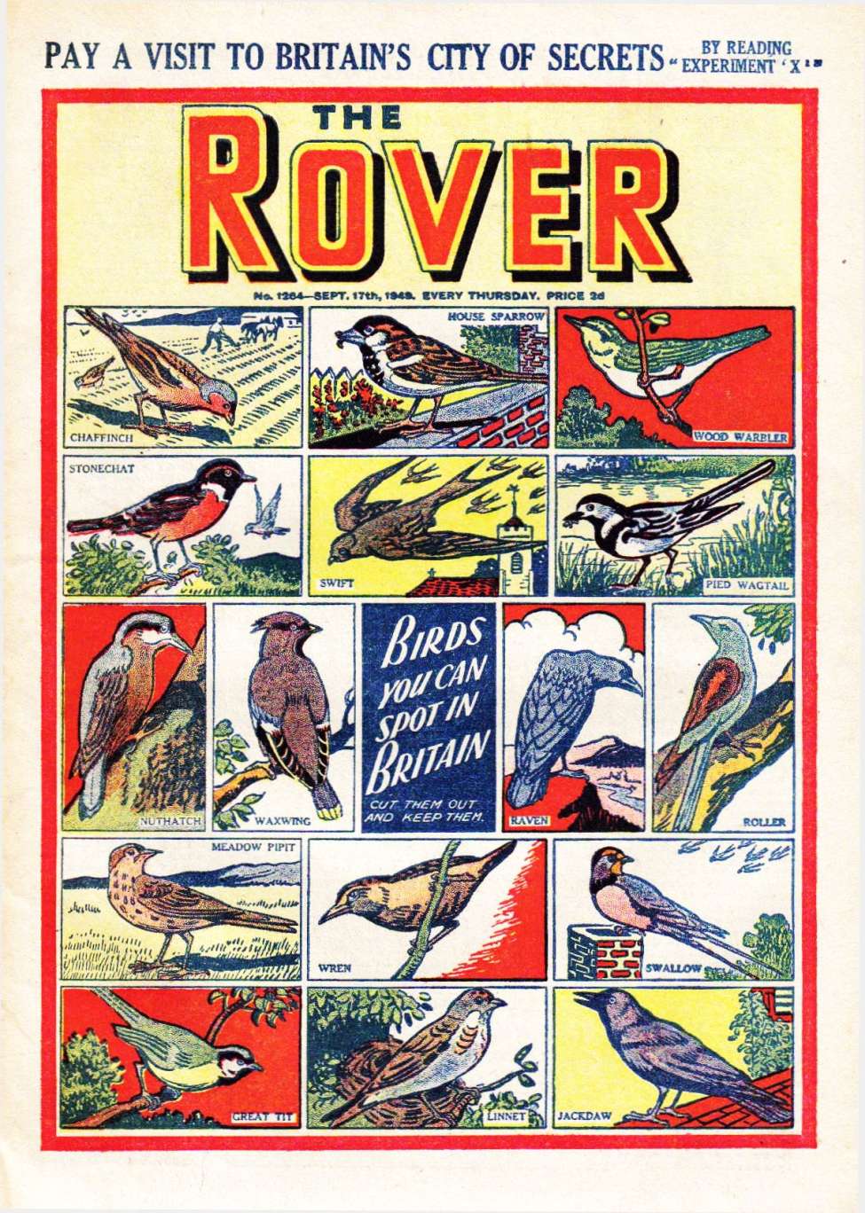 Book Cover For The Rover 1264
