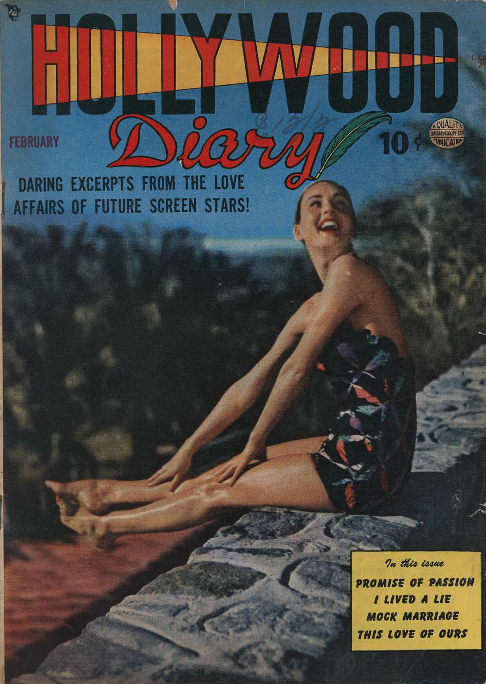 Comic Book Cover For Hollywood Diary 2