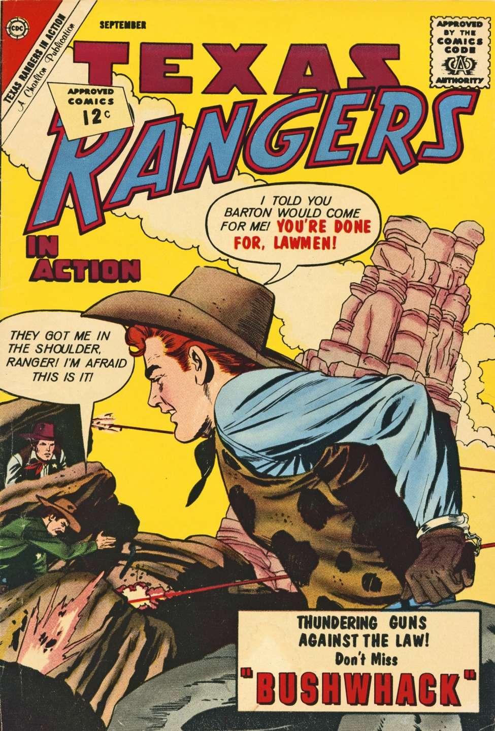 Book Cover For Texas Rangers in Action 35