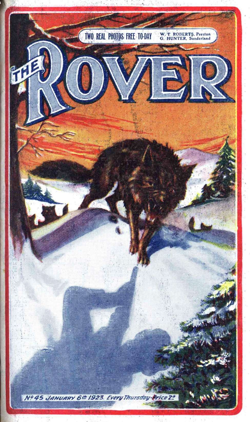 Book Cover For The Rover 45