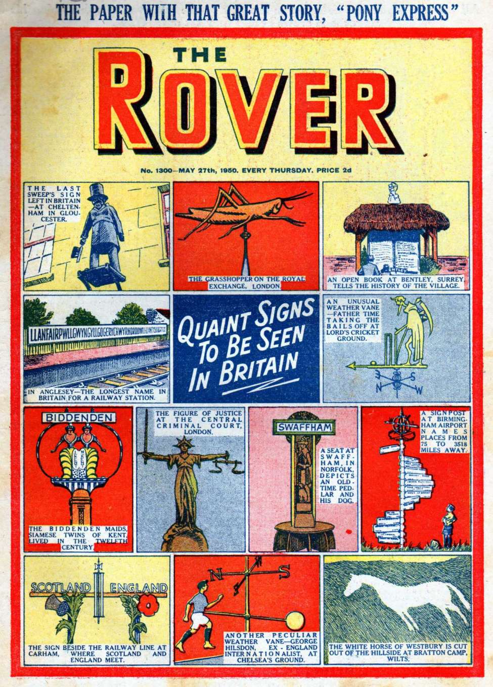 Book Cover For The Rover 1300