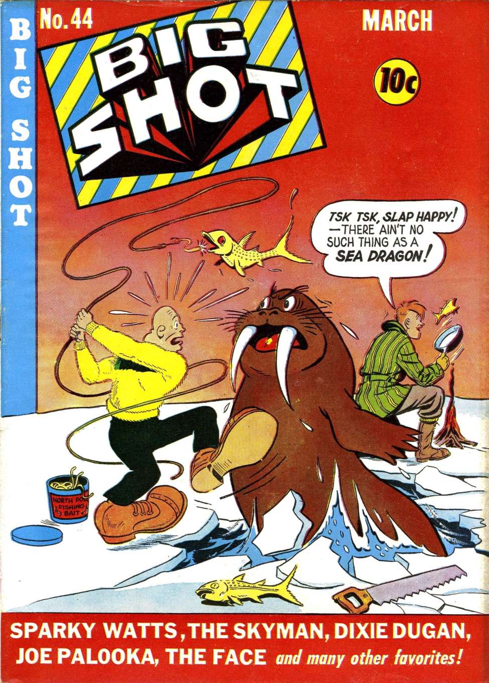 Book Cover For Big Shot 44